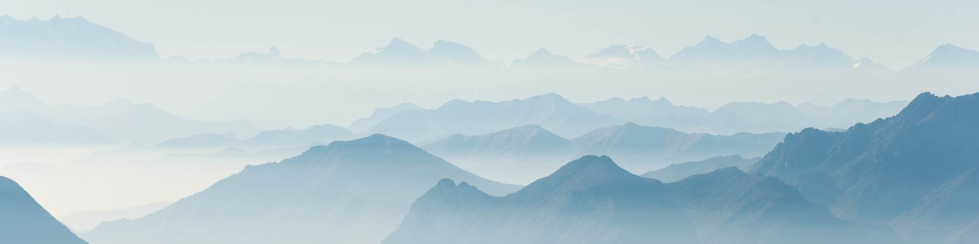 parallax image