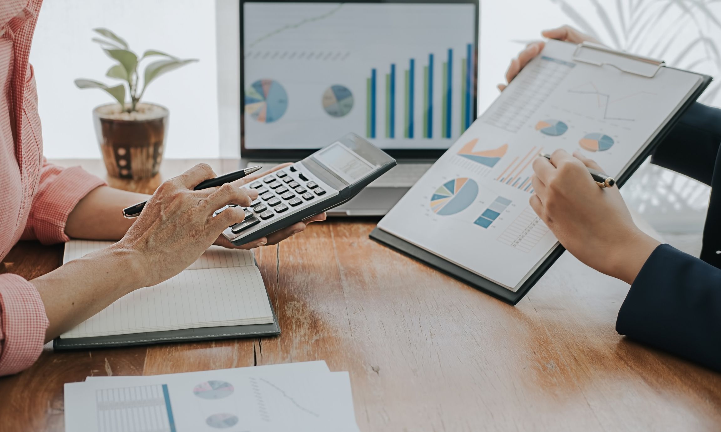 Financial colleagues reviewing portfolio